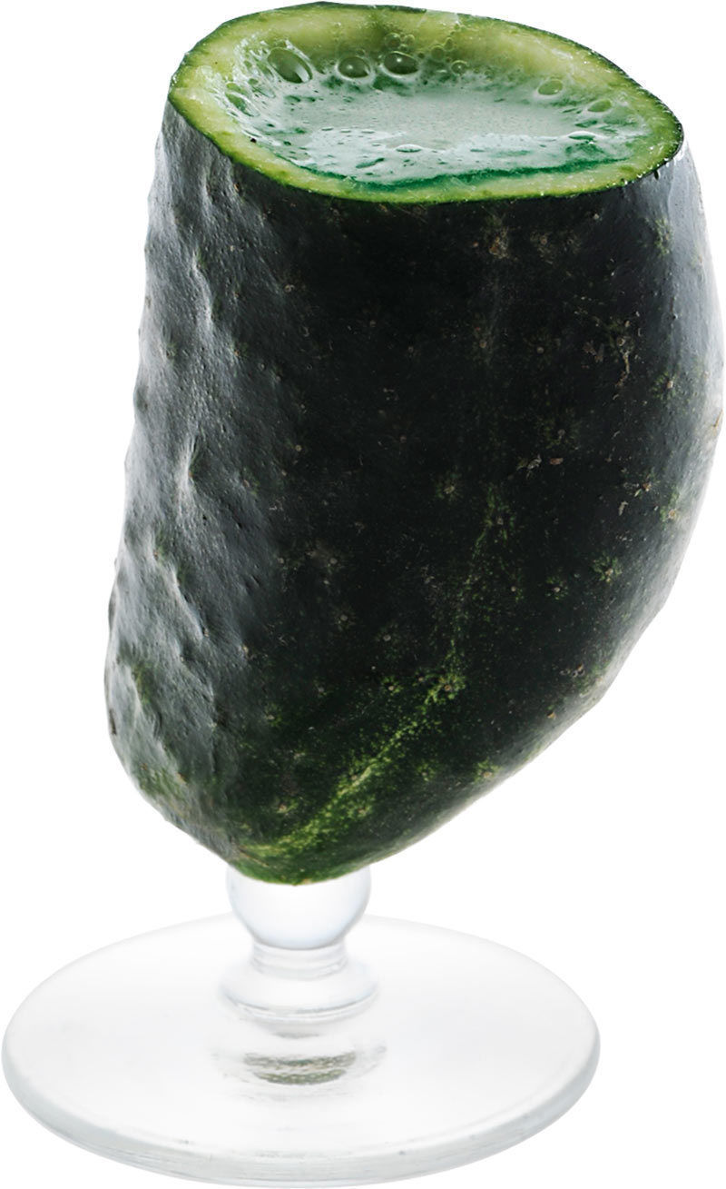 How to Make the Antifreeze and Cucumber