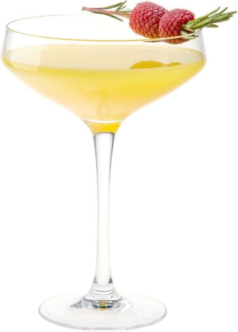 How to Make the Duke Tulip